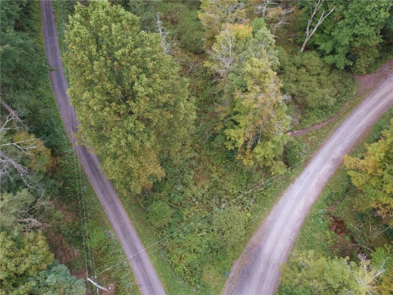 999 Beaver Ck Rd — photo 4