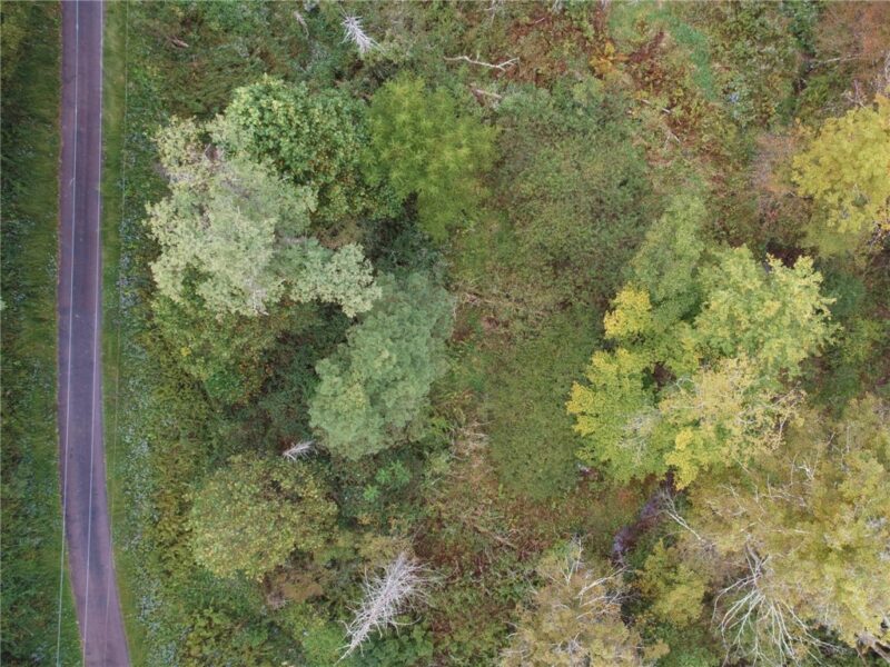999 Beaver Ck Rd — photo 6