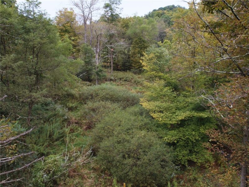 999 Beaver Ck Rd — photo 8
