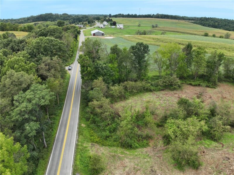 2999 Route 819 — photo 5