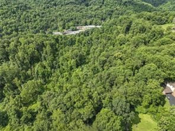 0 Darling Rd & State Rt 51 — photo 3