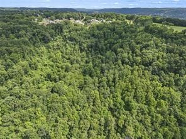 0 Darling Rd & State Rt 51 — photo 4