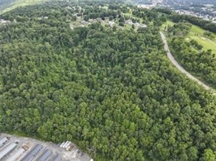 0 Darling Rd & State Rt 51 — photo 5