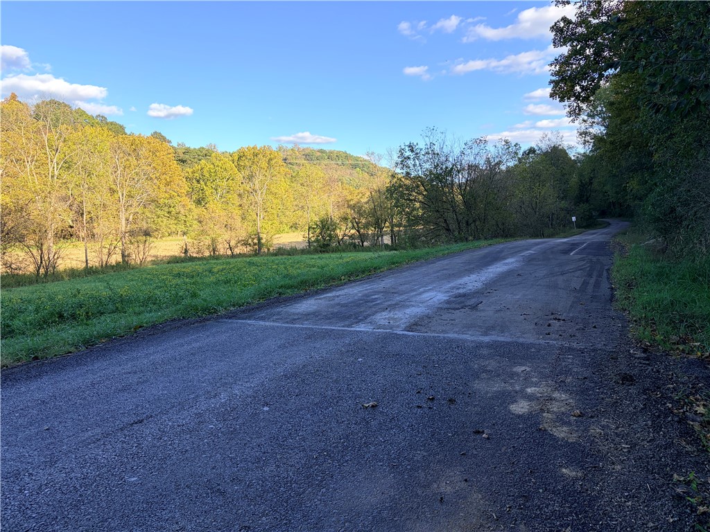 0 Wheeling Creek Road — photo 1