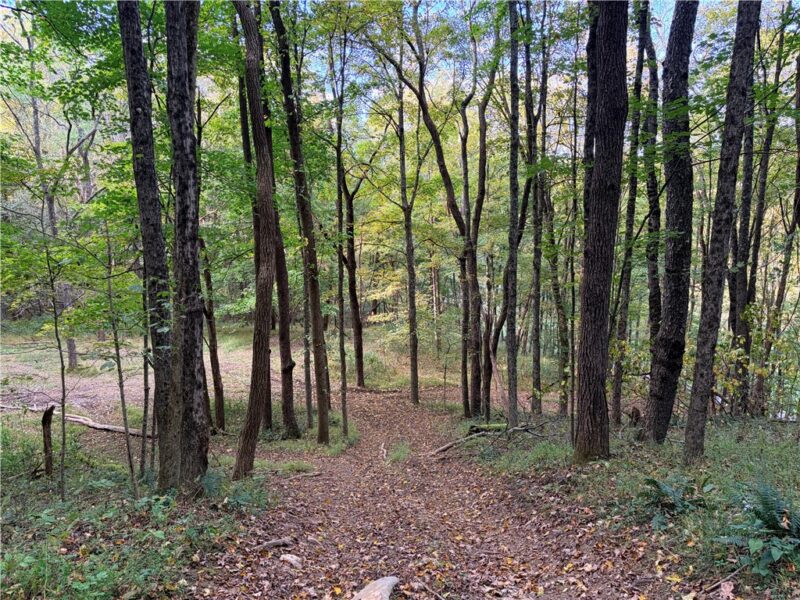 0 Wheeling Creek Road — photo 5
