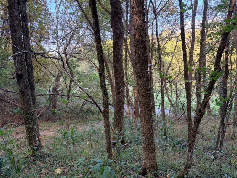 0 Wheeling Creek Road — photo 6
