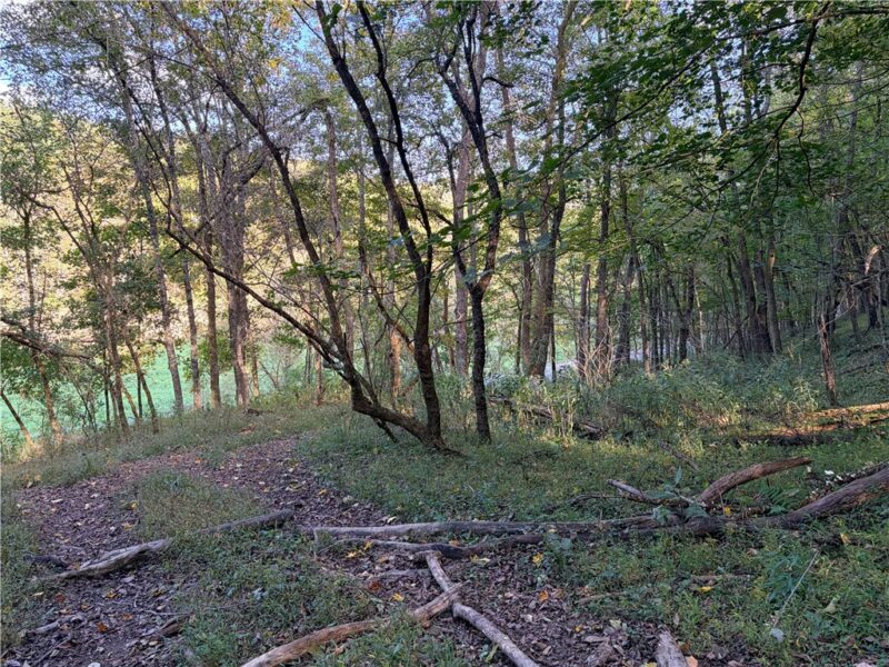 0 Wheeling Creek Road — photo 7