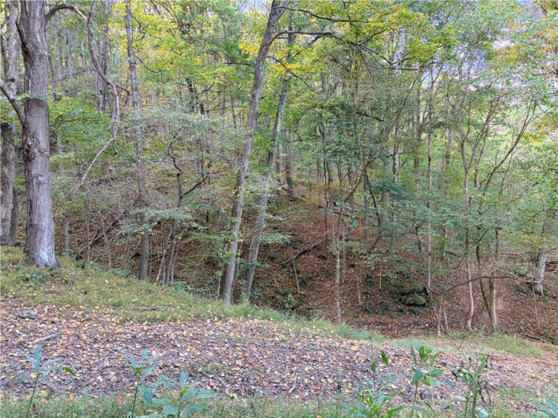 0 Wheeling Creek Road — photo 8