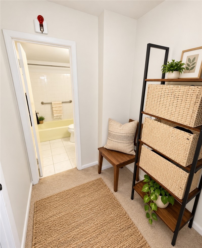 605 Shady Ave 3B — photo 6