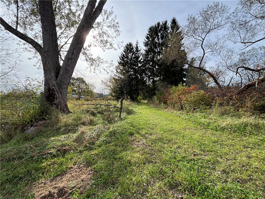 0 Rebecca Street — photo 1