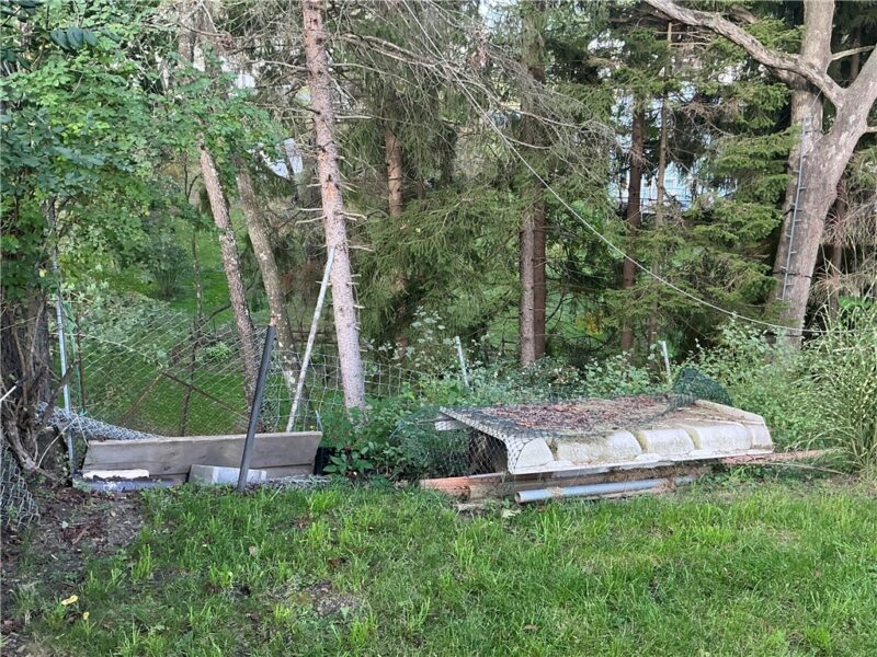 116 Shields Ave — photo 6