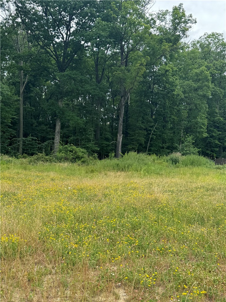 (Lot 106) 1010 Goldeneye Drive — photo 1