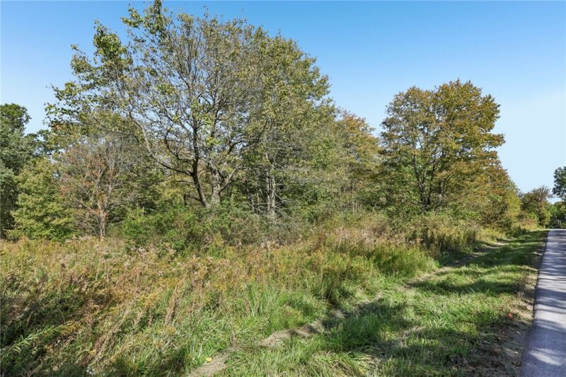 000 Beechwood Road — photo 4