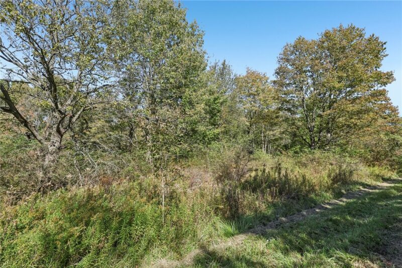 000 Beechwood Road — photo 7