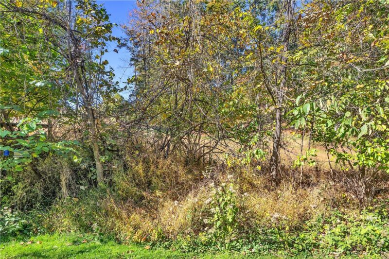 114 Crosswinds Ln — photo 5
