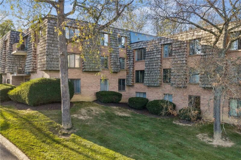 1113 Forest Green Dr — photo 3