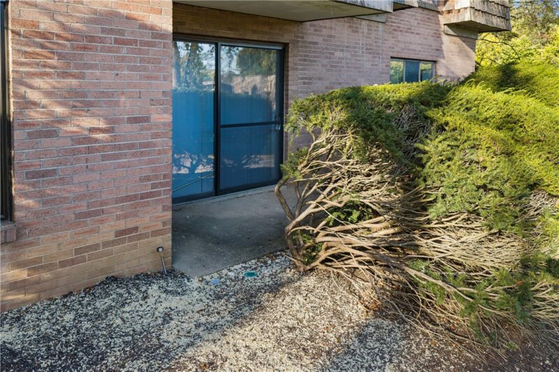 1113 Forest Green Dr — photo 7