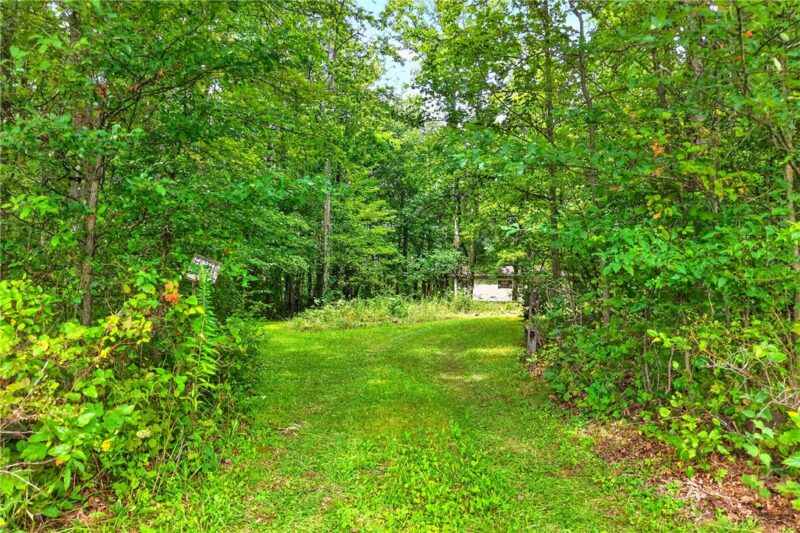 126 Roy Stout Rd — photo 3