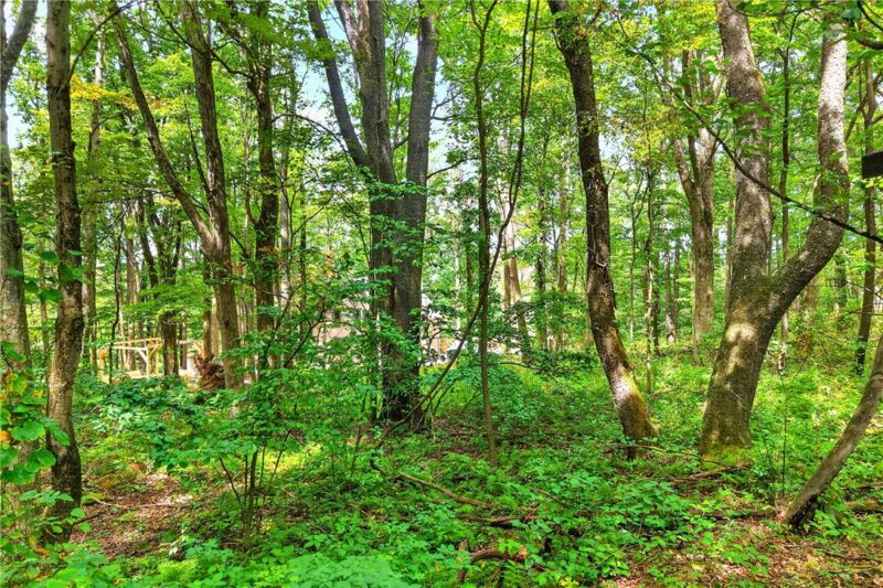 126 Roy Stout Rd — photo 7