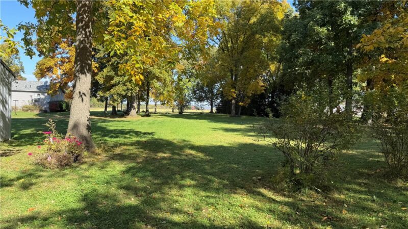 114 Homer Rd — photo 8