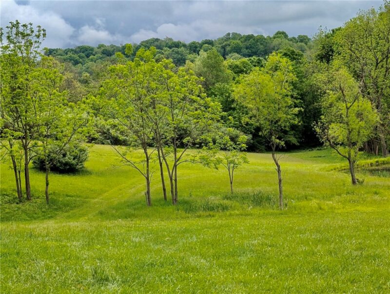 Lot 4A Sugar Run Rd — photo 2