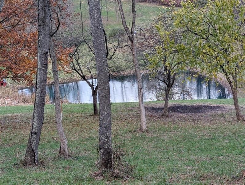 Lot 4A Sugar Run Rd — photo 8