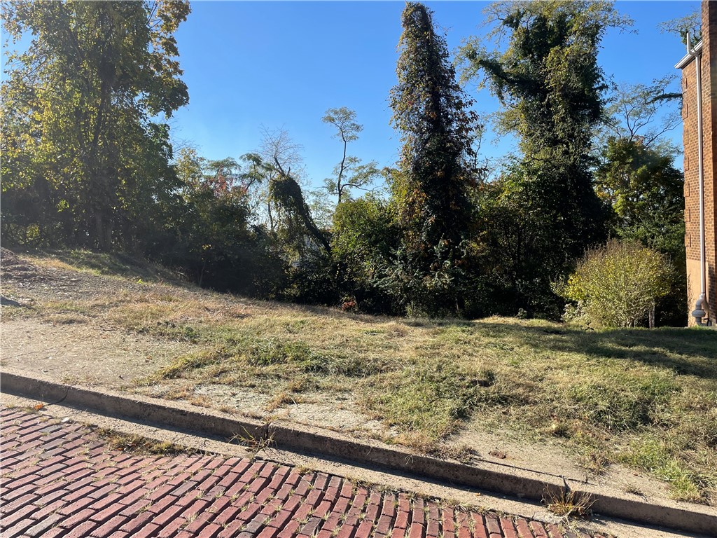 0 Buena Vista St — photo 1