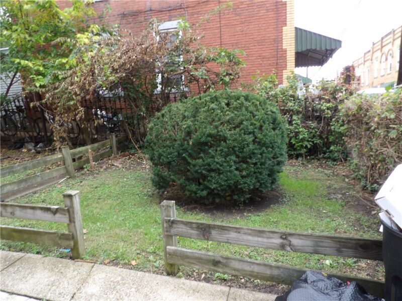 3297 Dawson St — photo 3