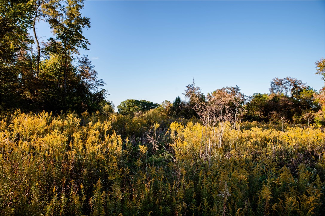 360 Cecil Sturgeon Rd — photo 1