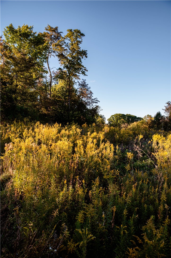 360 Cecil Sturgeon Rd — photo 2