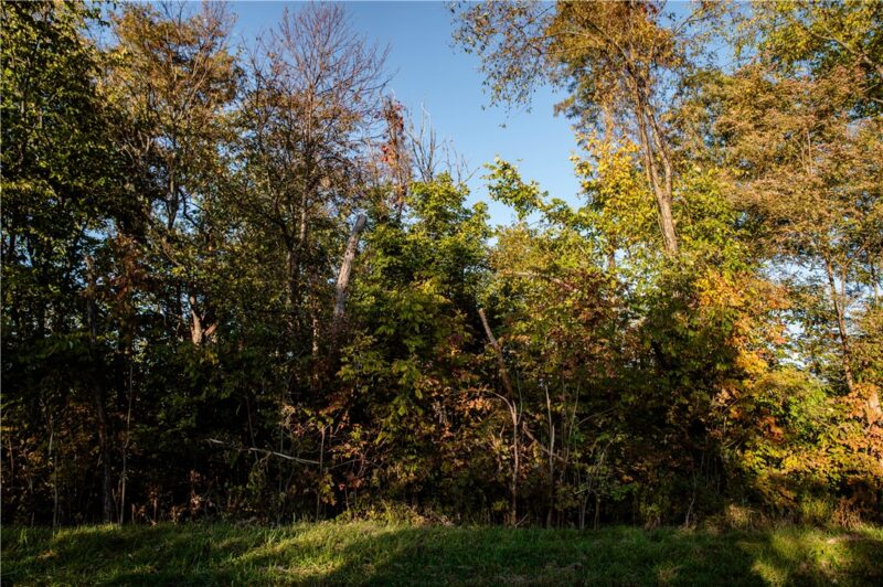 360 Cecil Sturgeon Rd — photo 3