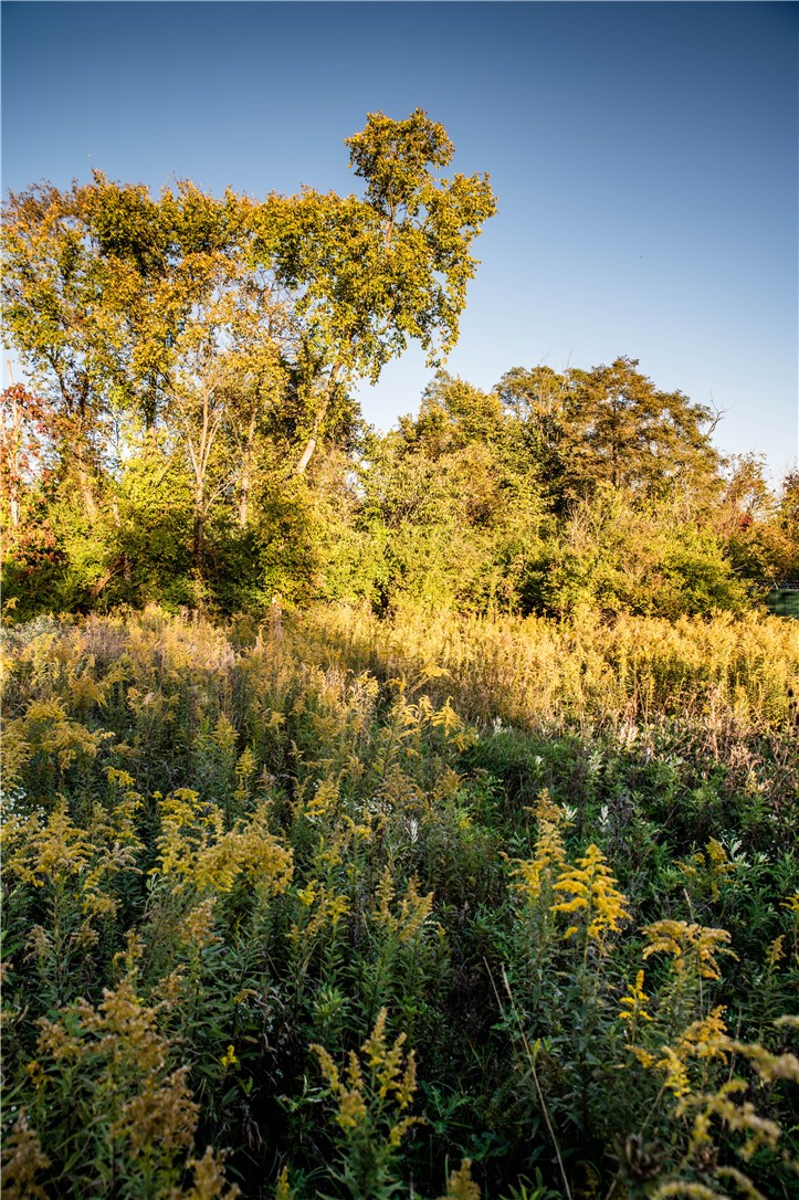 360 Cecil Sturgeon Rd — photo 5