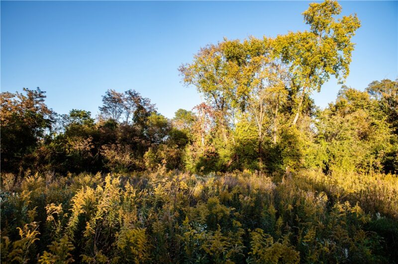 360 Cecil Sturgeon Rd — photo 7