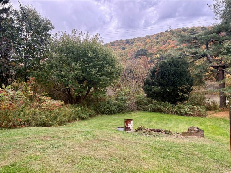 1164 Indian Creek Valley Rd — photo 4