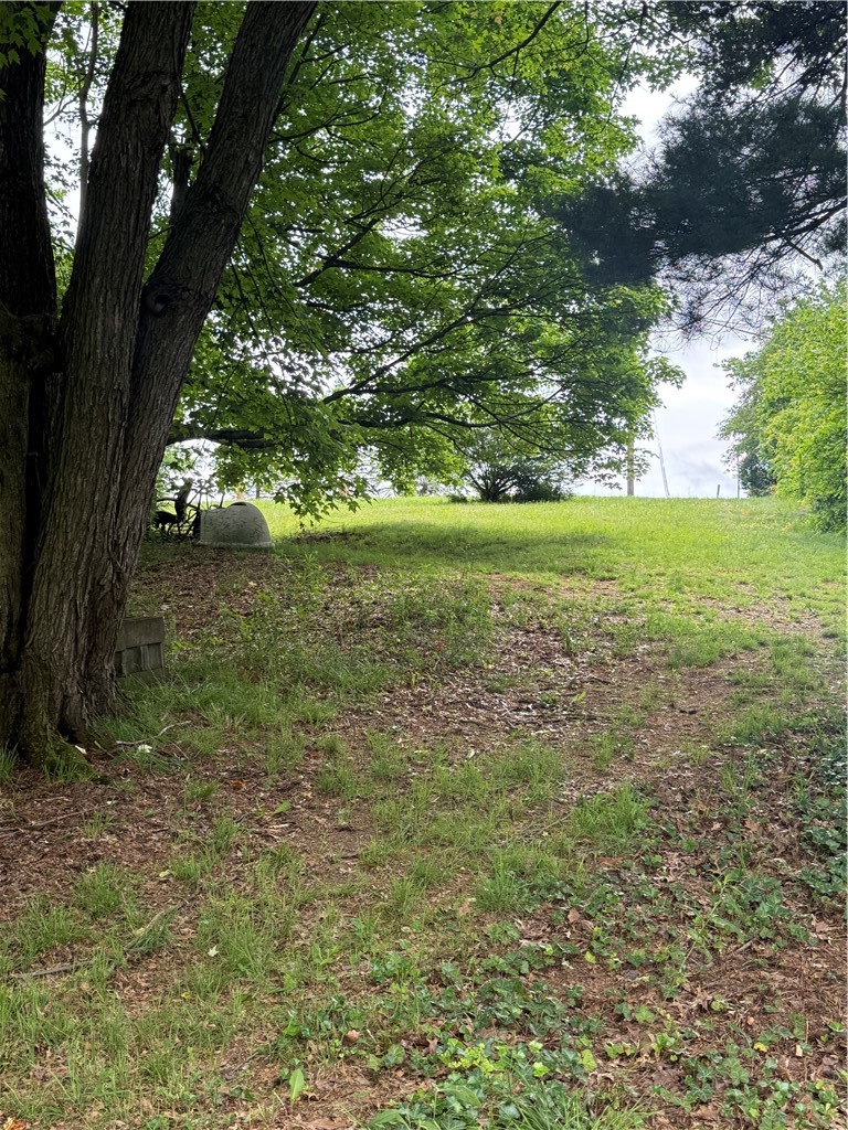 701 Chicora Rd — photo 3