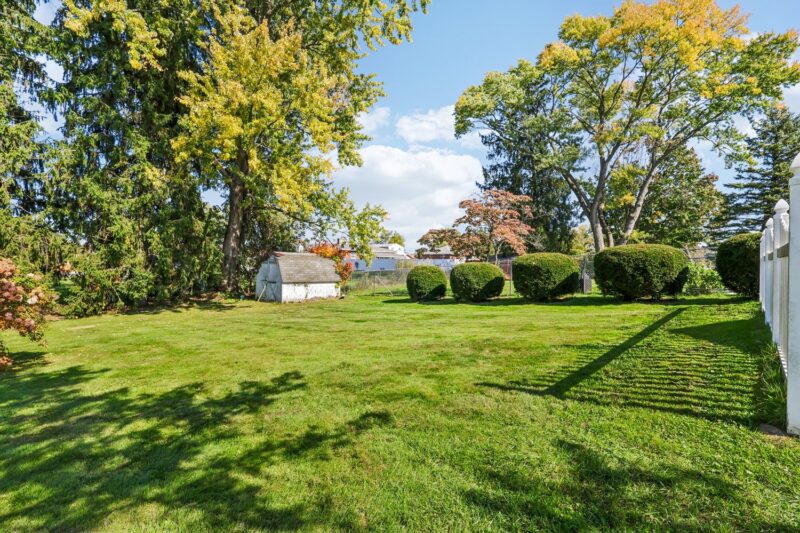 249 Alder STREET — photo 3