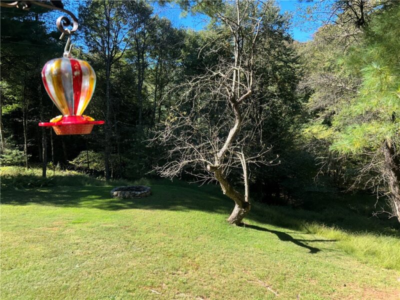 22 Peach Lane — photo 3