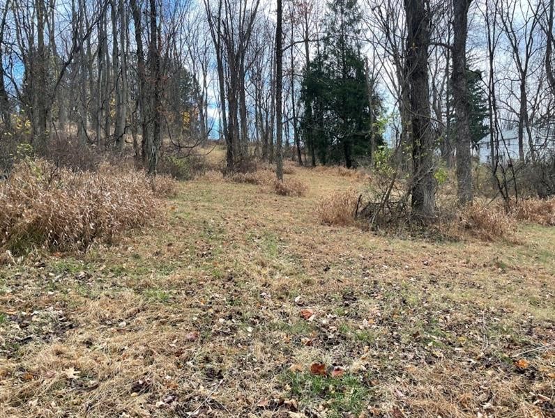 000 Hilton/Margurite Rd — photo 7