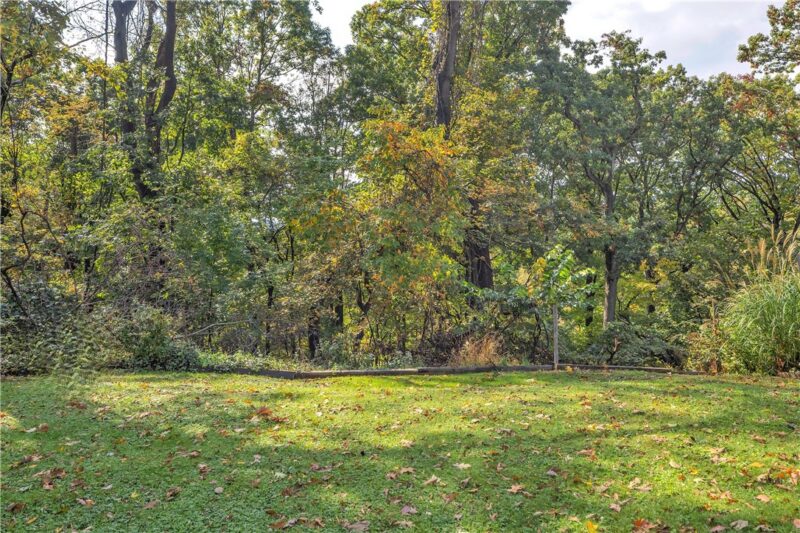 415 Dunbar Drive — photo 4