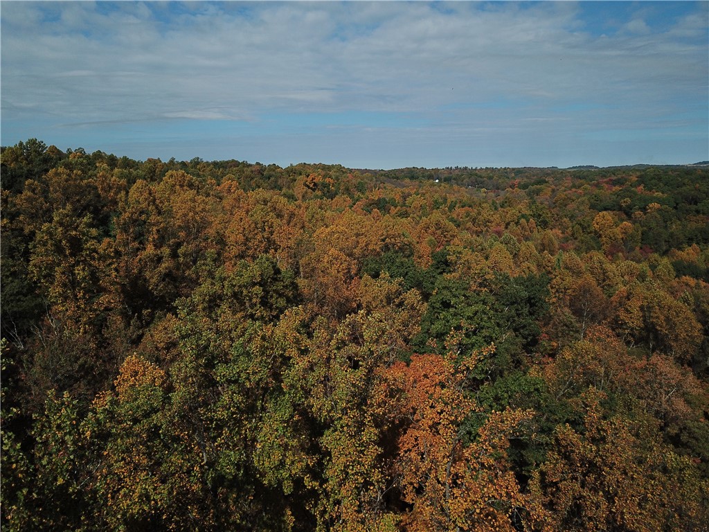 000 Camp Rd — photo 1