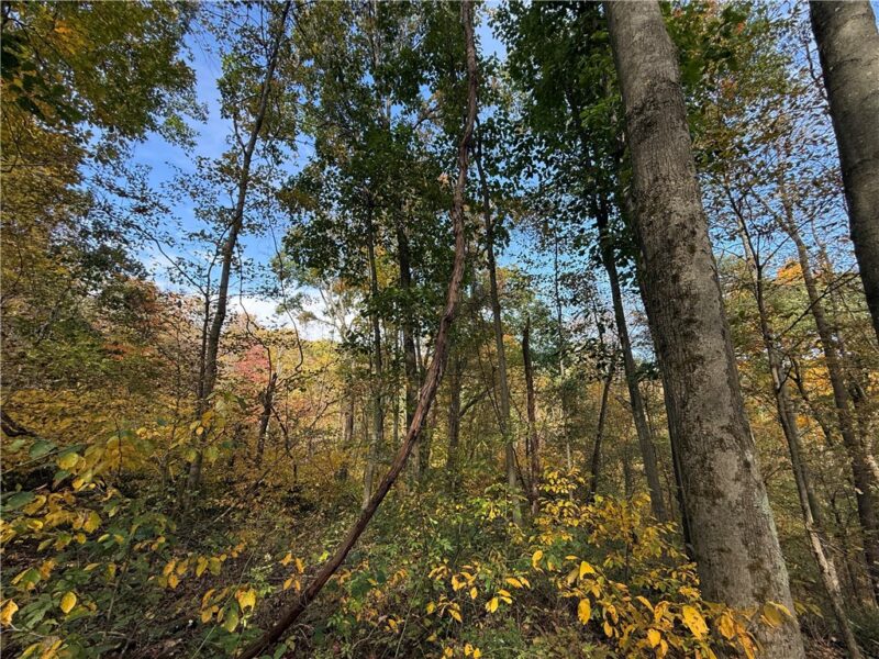 000 Camp Rd — photo 2