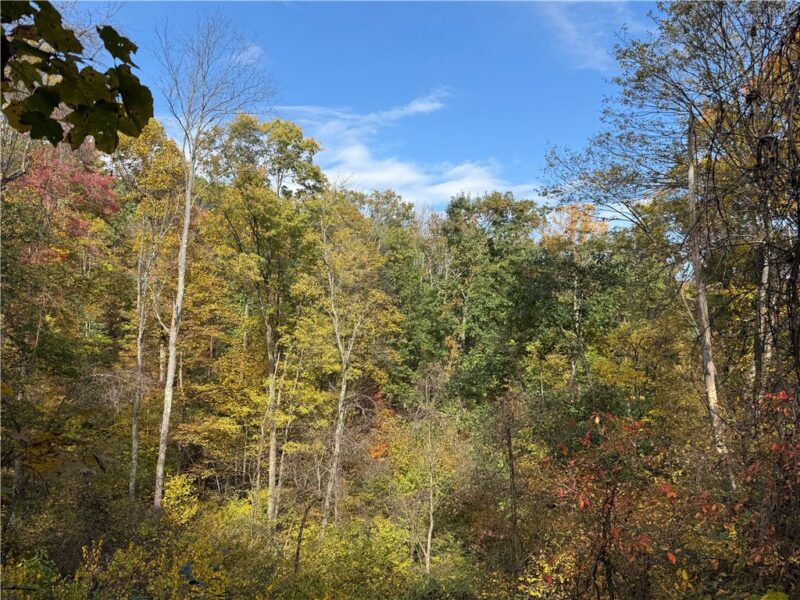 000 Camp Rd — photo 3