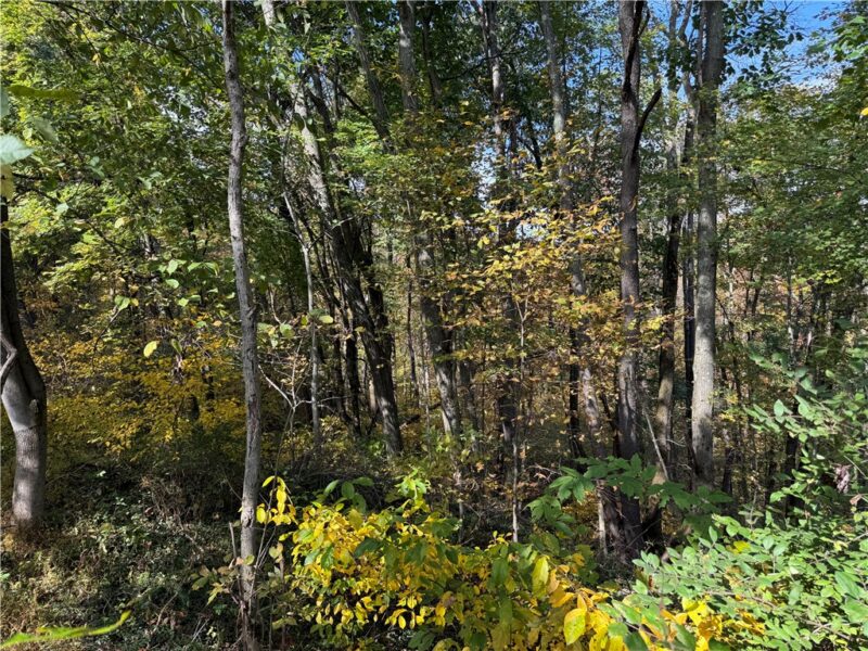 000 Camp Rd — photo 4