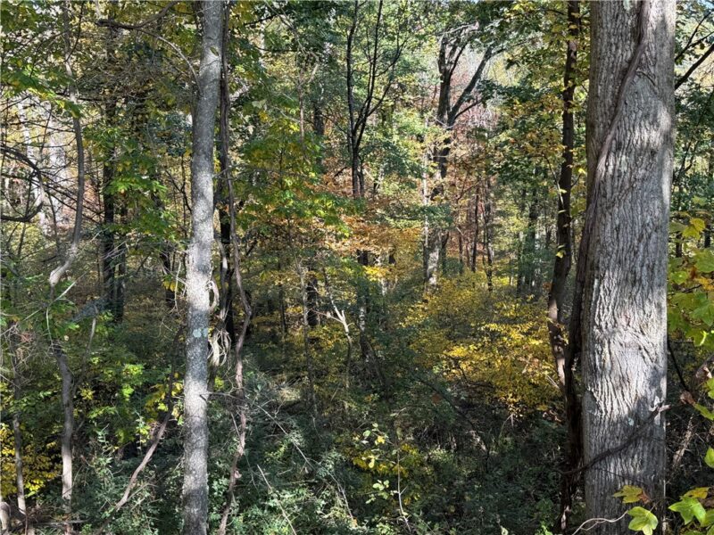 000 Camp Rd — photo 5