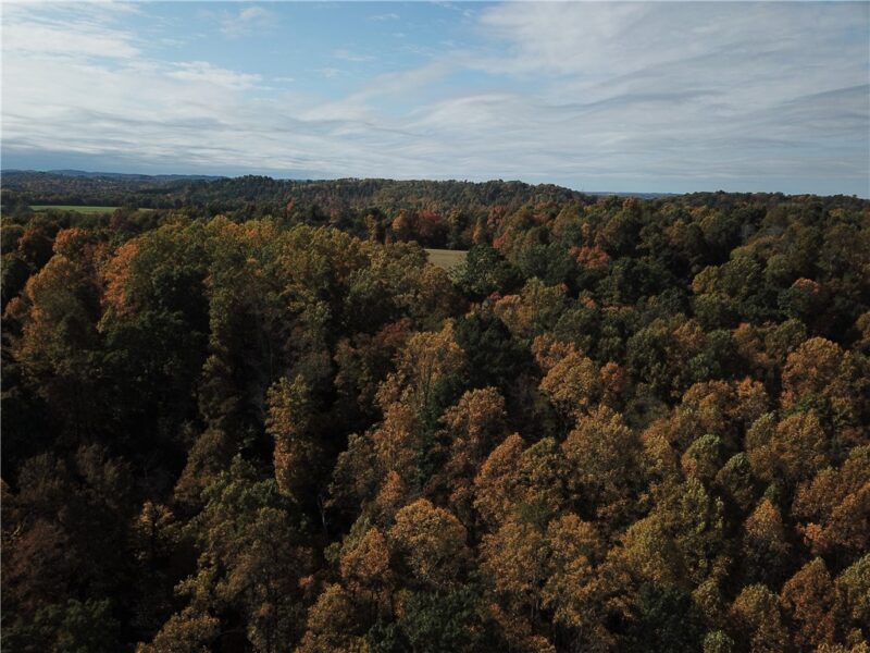000 Camp Rd — photo 8