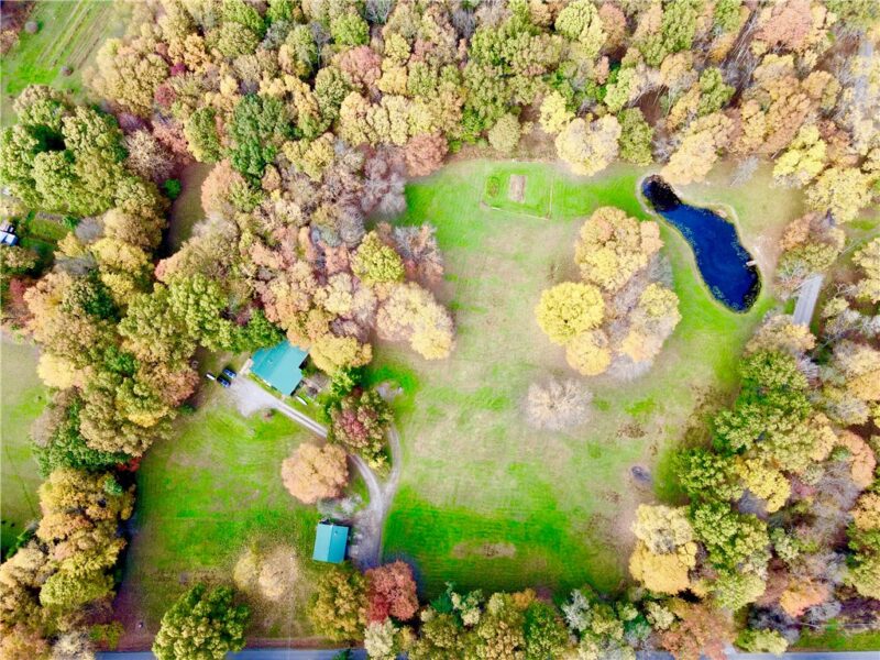 255 Brent Road — photo 5