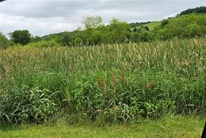 Lot 36-39 Baton Road