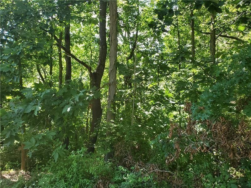 0 N Shady Ave — photo 4
