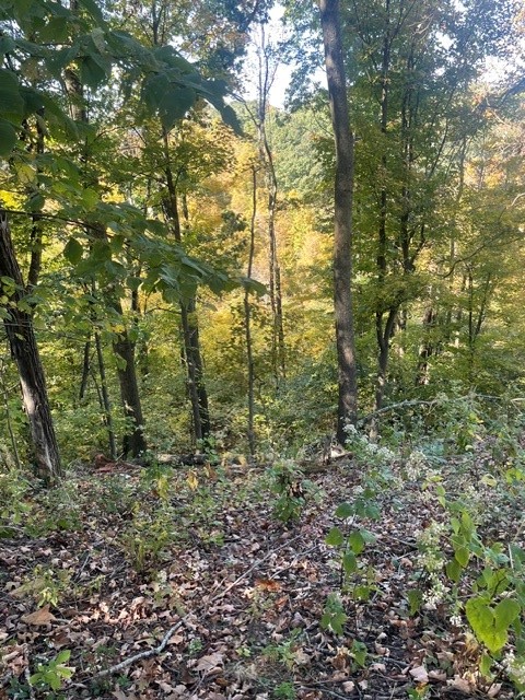 158 Reesman Drive — photo 3