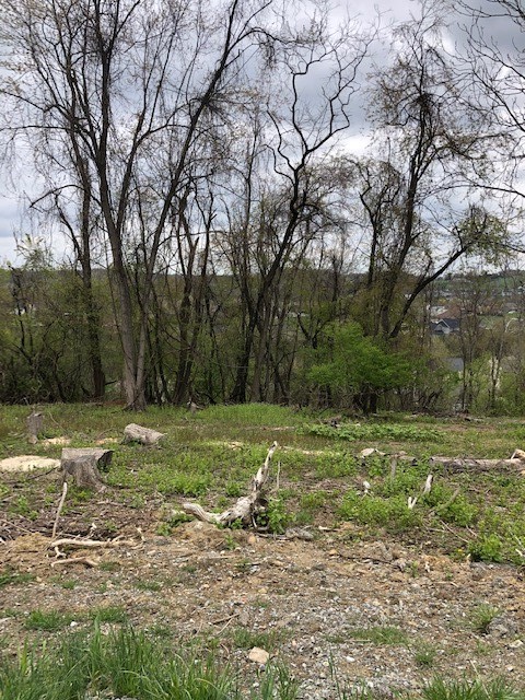 0111 Ridge Rd — photo 1